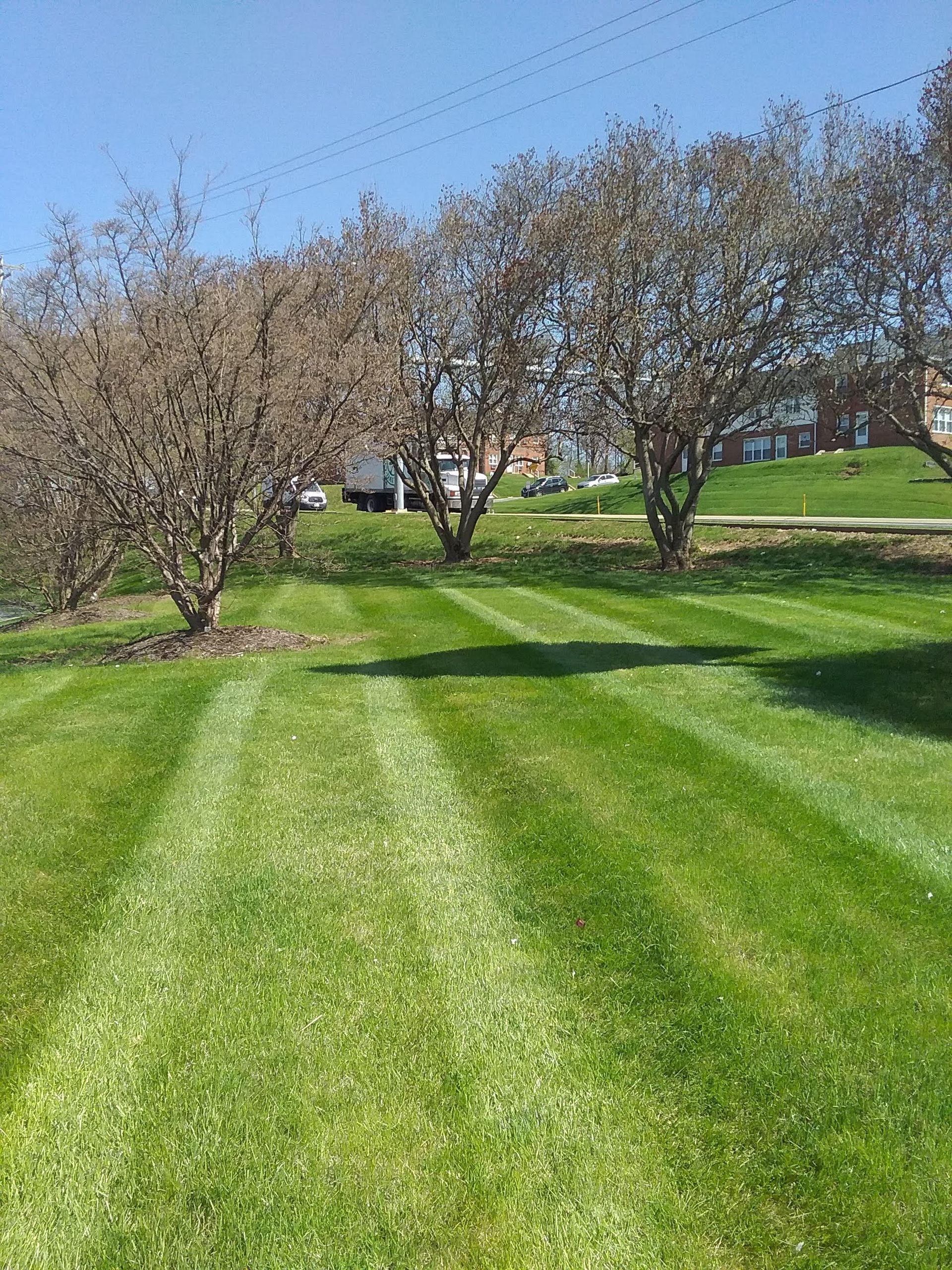 a lush green lawn just mowed by A.A.F Landscaping with trees in the background 