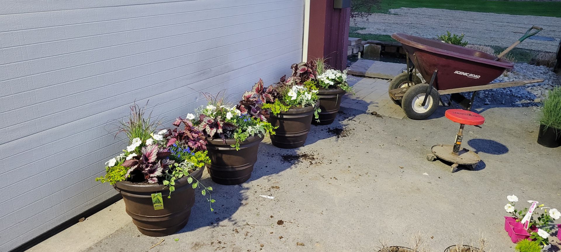 Flower pots line a wall. A wheelbarrow and stool sit nearby.