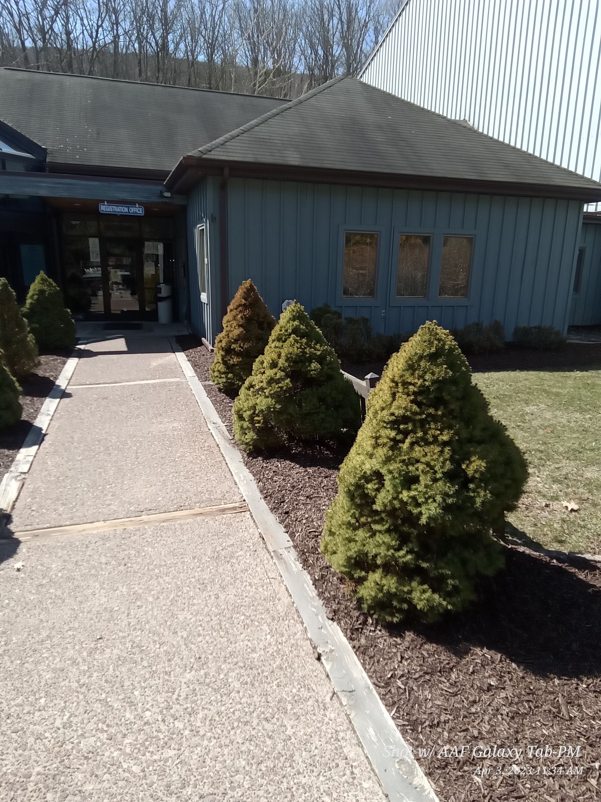 a building with a lot of trees in front of it