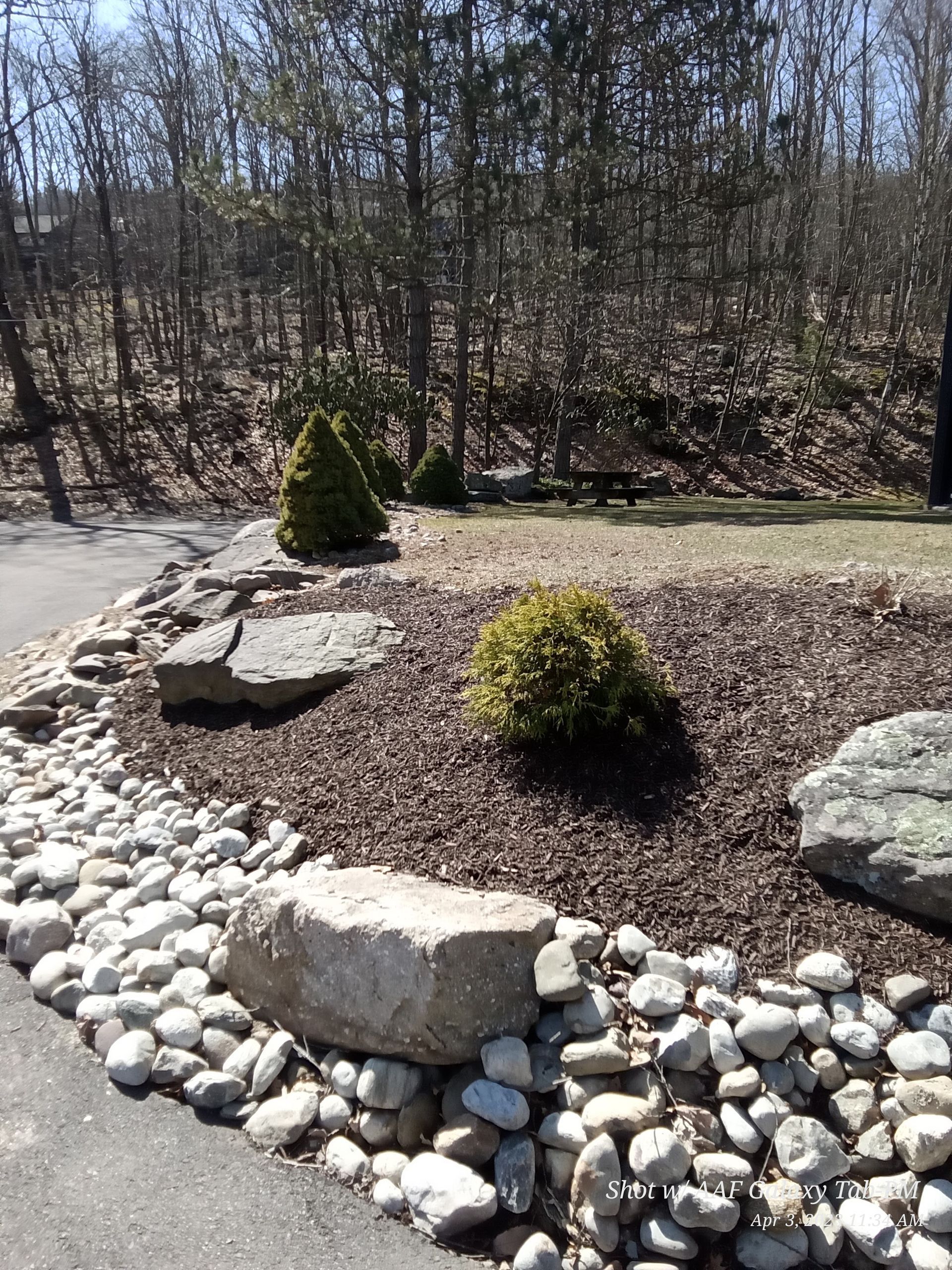 A rock garden with trees in the background and a road in the foreground.