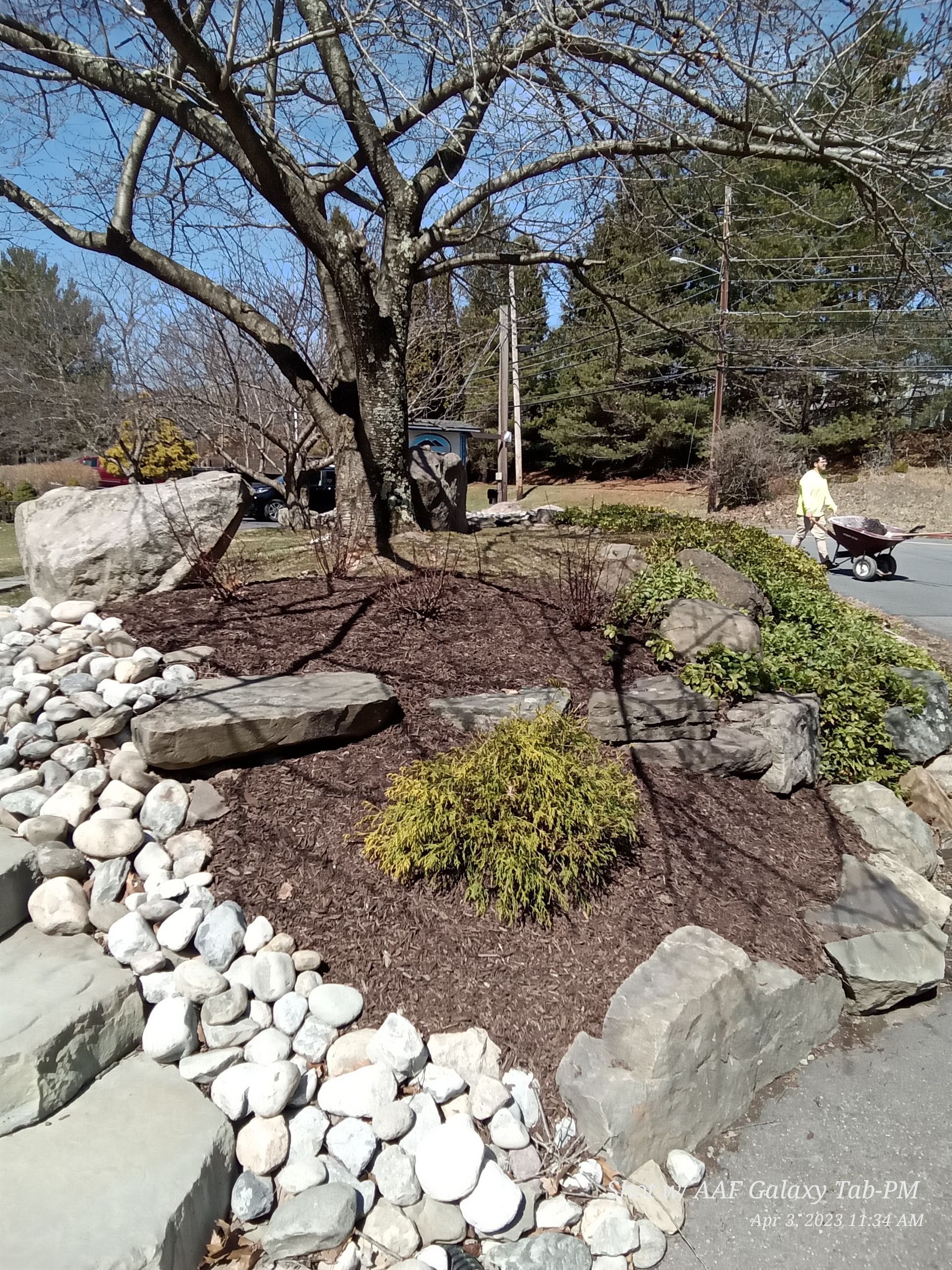 A man is pushing a wheelbarrow in a garden with rocks and mulch.