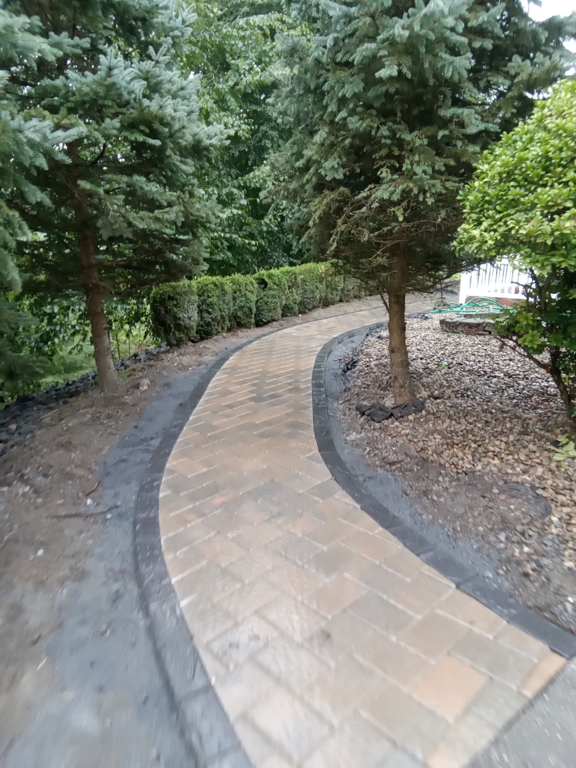 Brick pathway winding through a garden, lined with trees and a dark border.