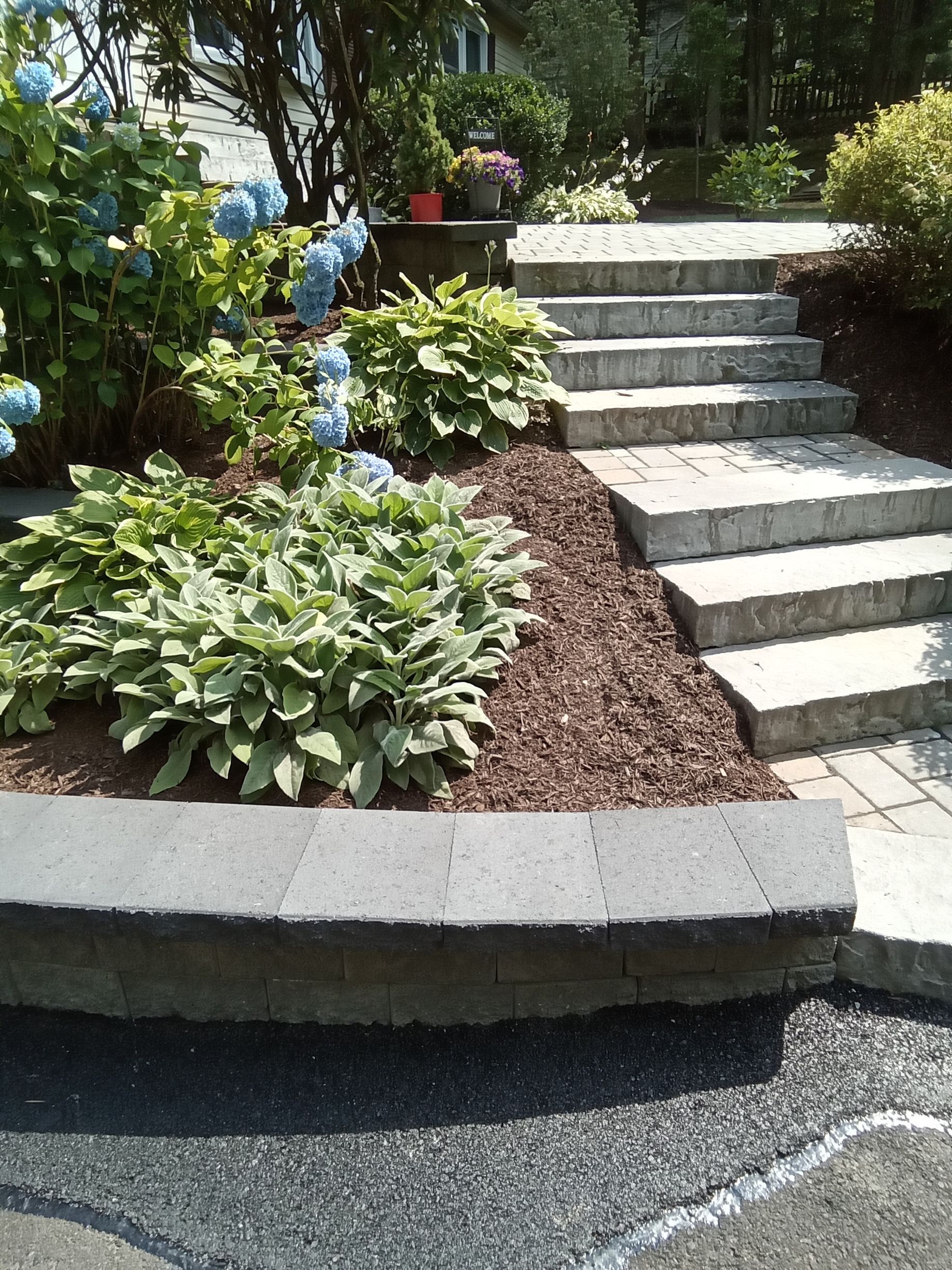 Stone steps lead up a landscaped garden bed with mulch and green plants.
