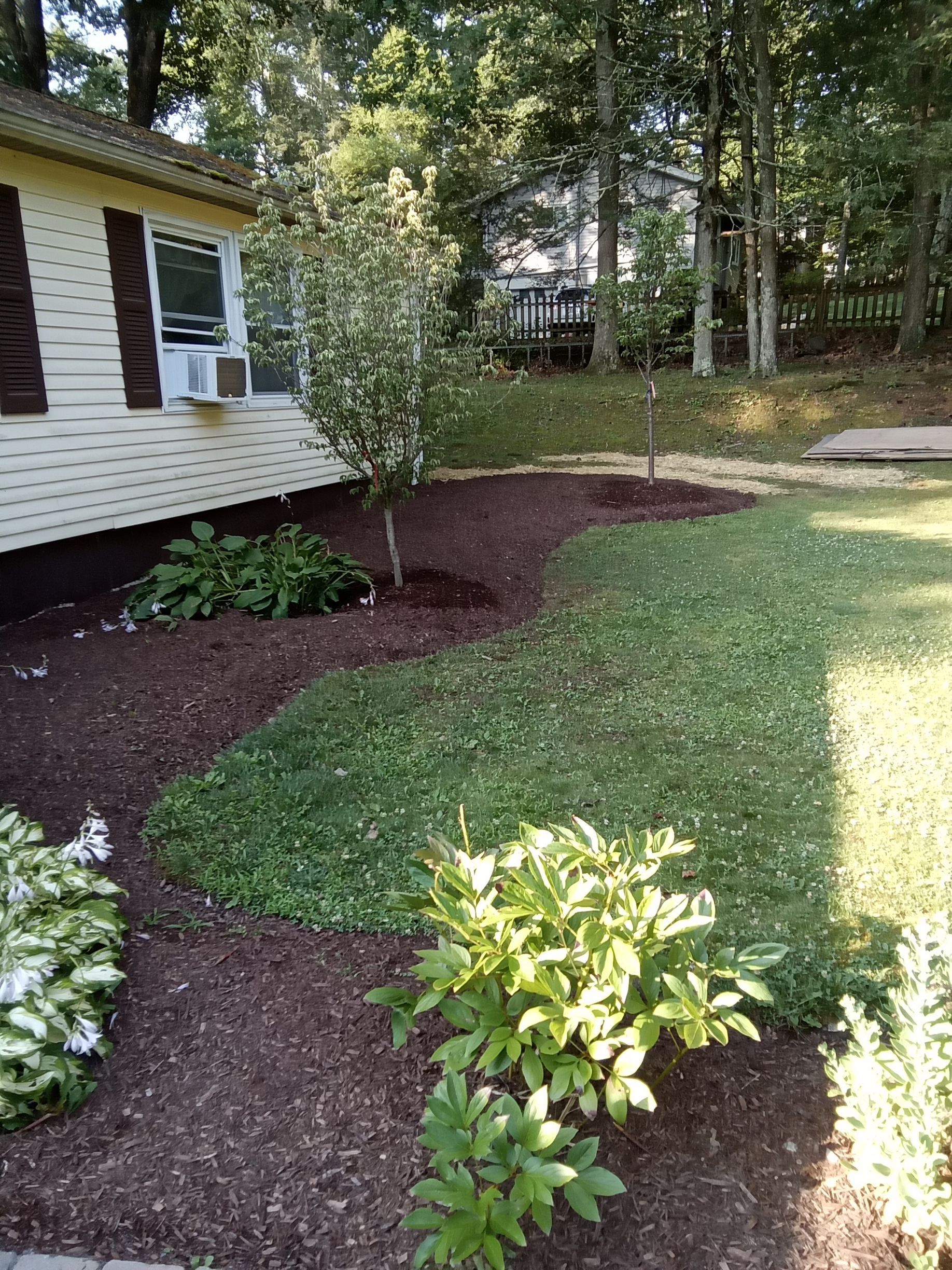 Landscaped yard with a house, mulch beds, grass, and trees.