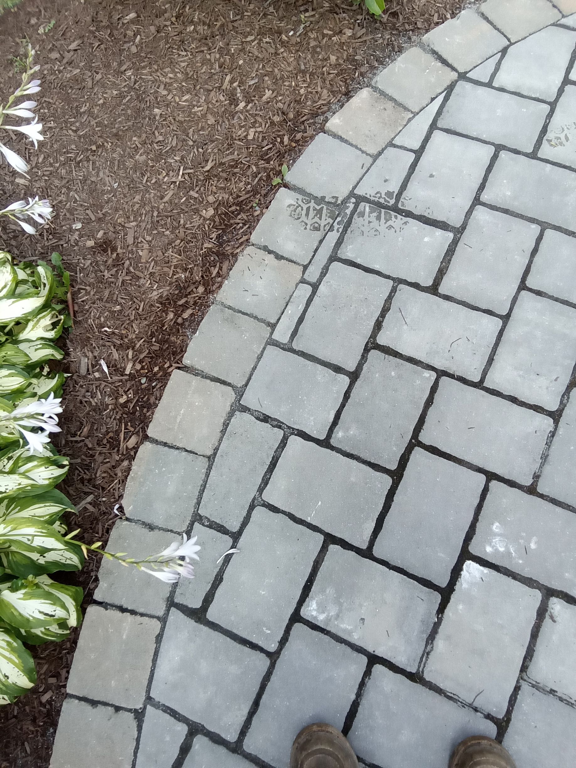 Stone brick patio border with mulch and plants.