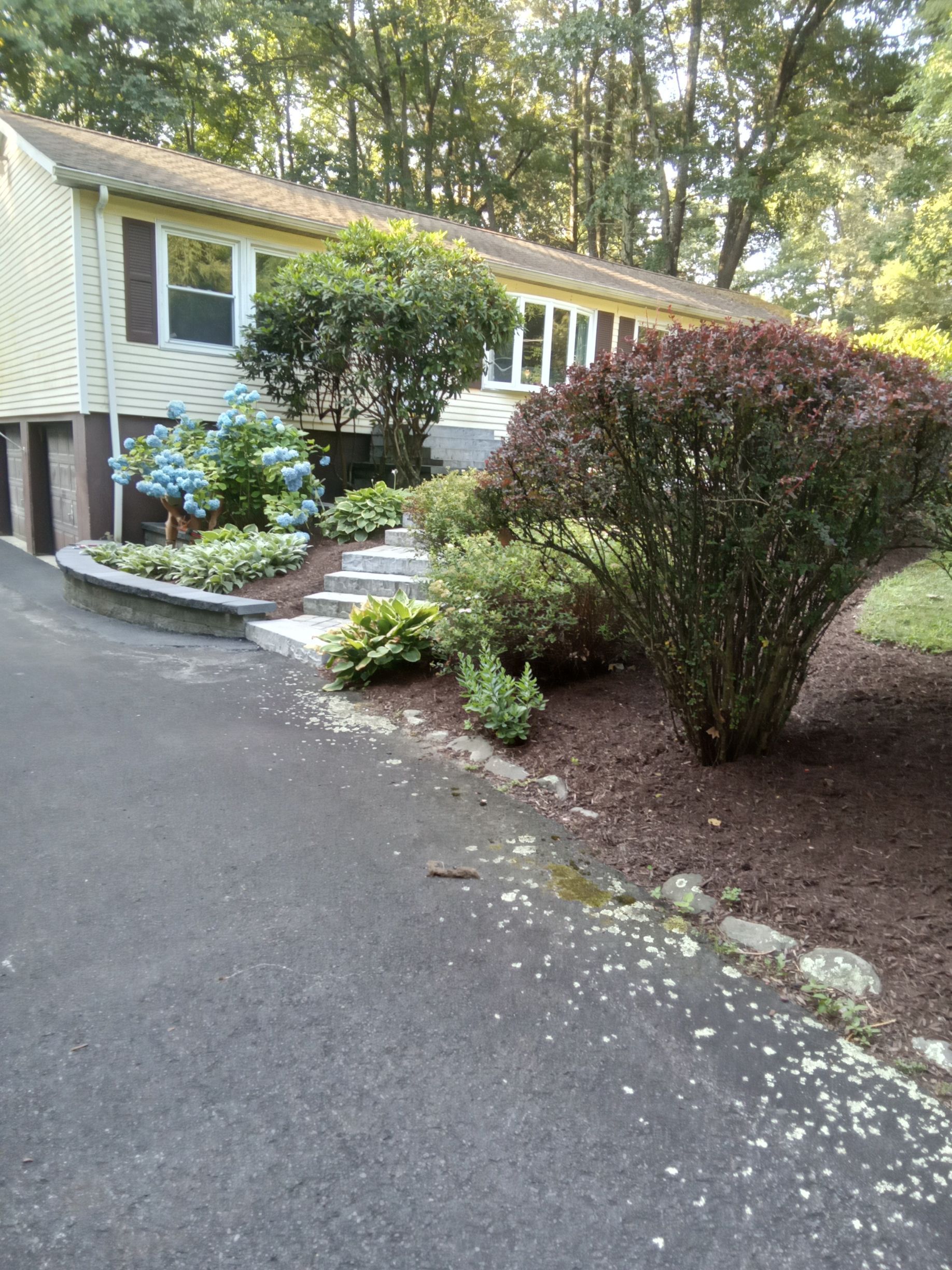 a blue sign in the middle of a lush green field