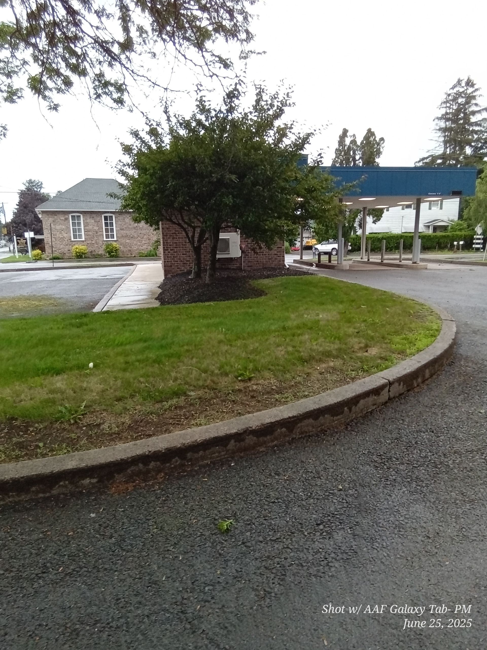 A small tree on a brick planter in front of a building.