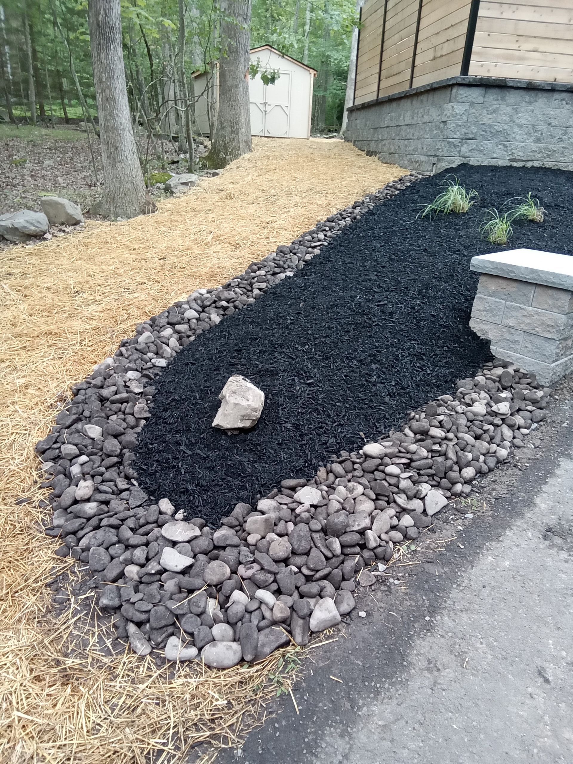 A lawn with a few trees in front of a house.