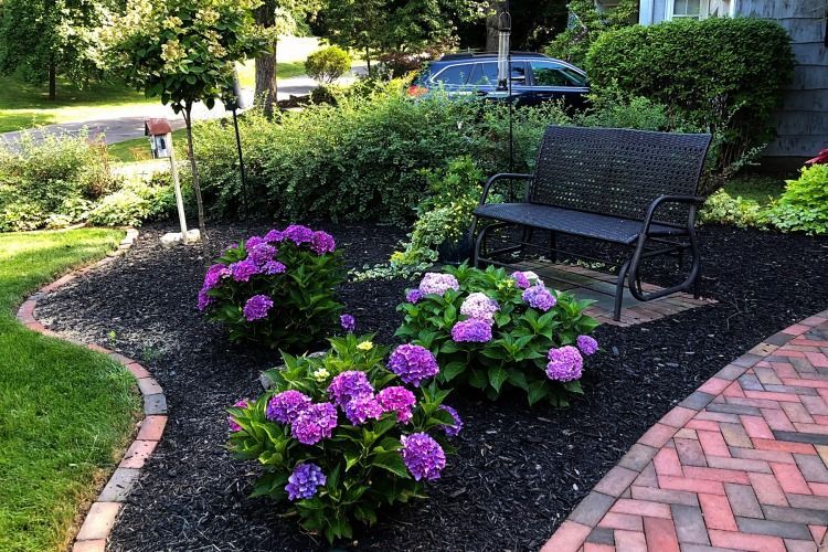 There is a bench in the middle of the garden with purple flowers.