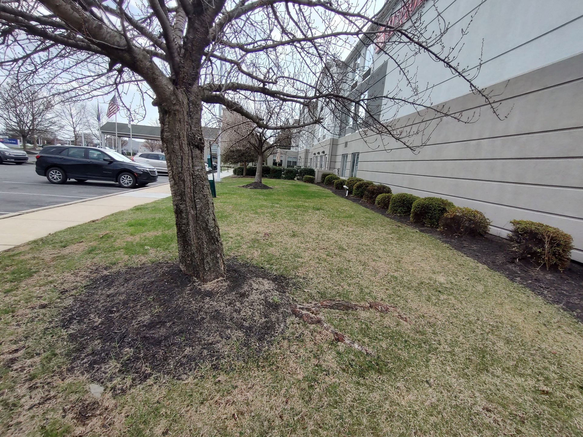 a black oil tank in basement o