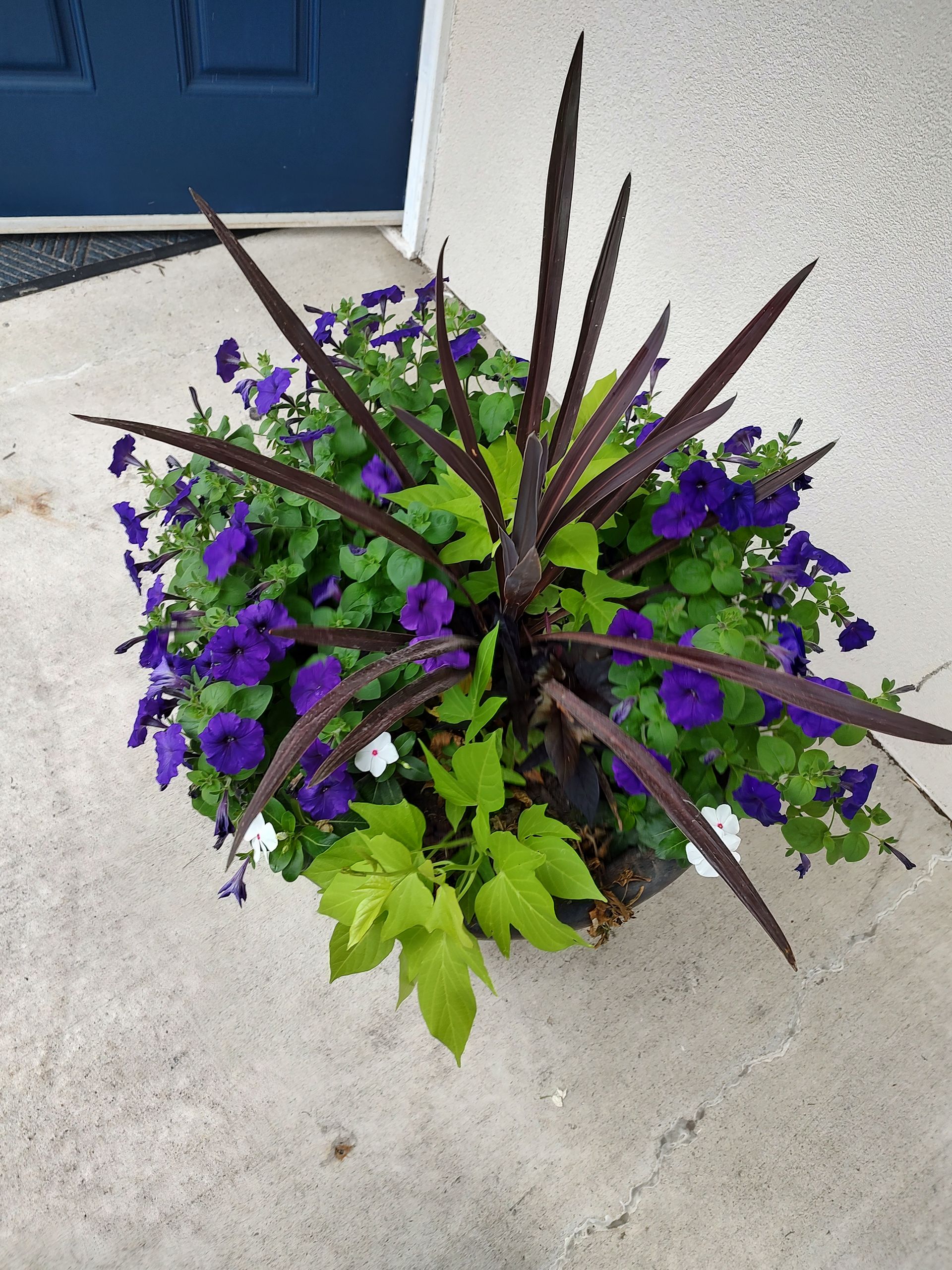 a black railing surrounds a patio with a table and chairs .