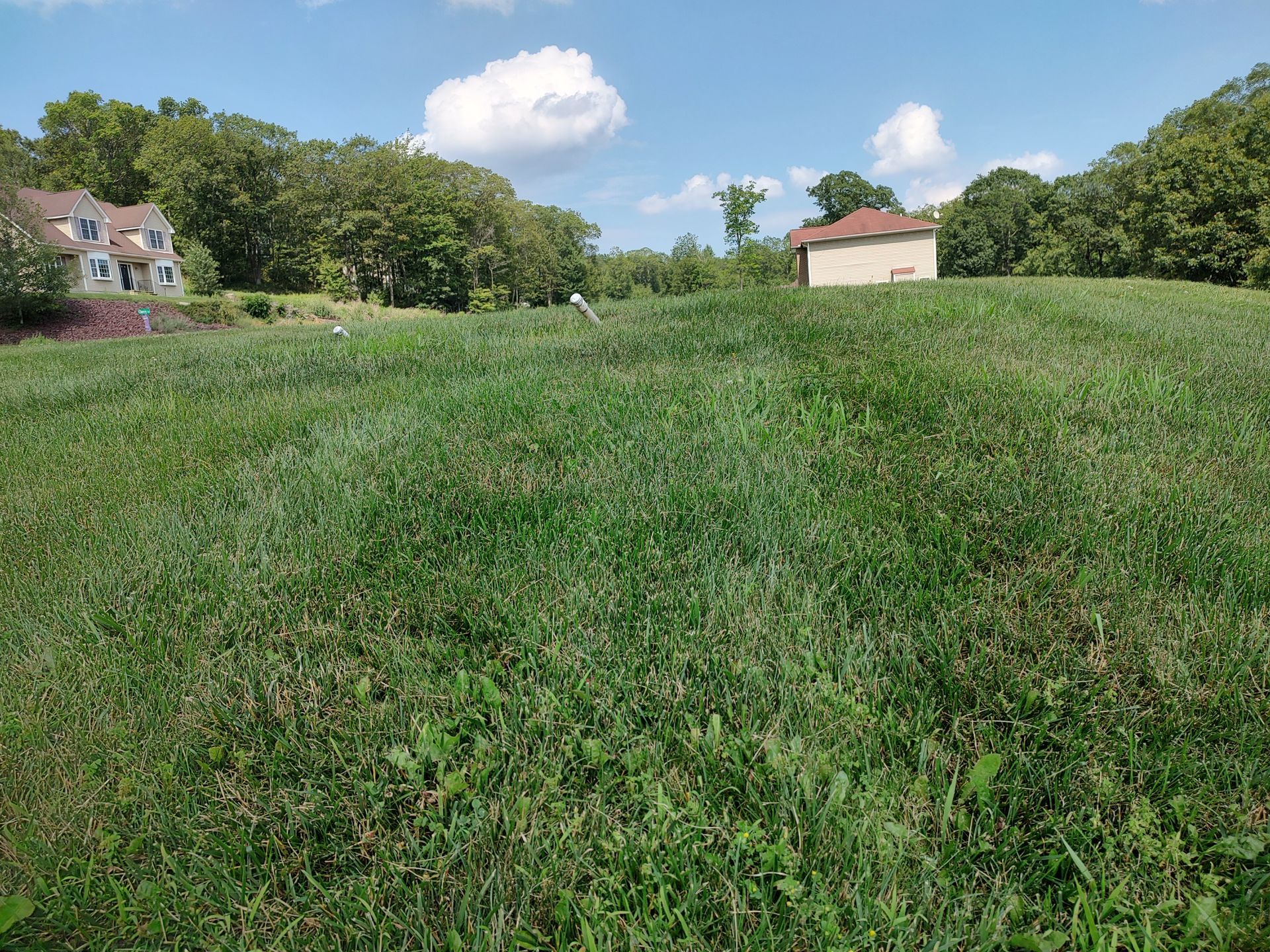 A.A.F Landscaping Excavator  is digging a hole in a rock wall in the woods .