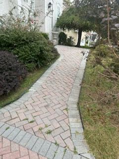 Brick pathway curves past shrubs and grass near a building with a tree in the background.