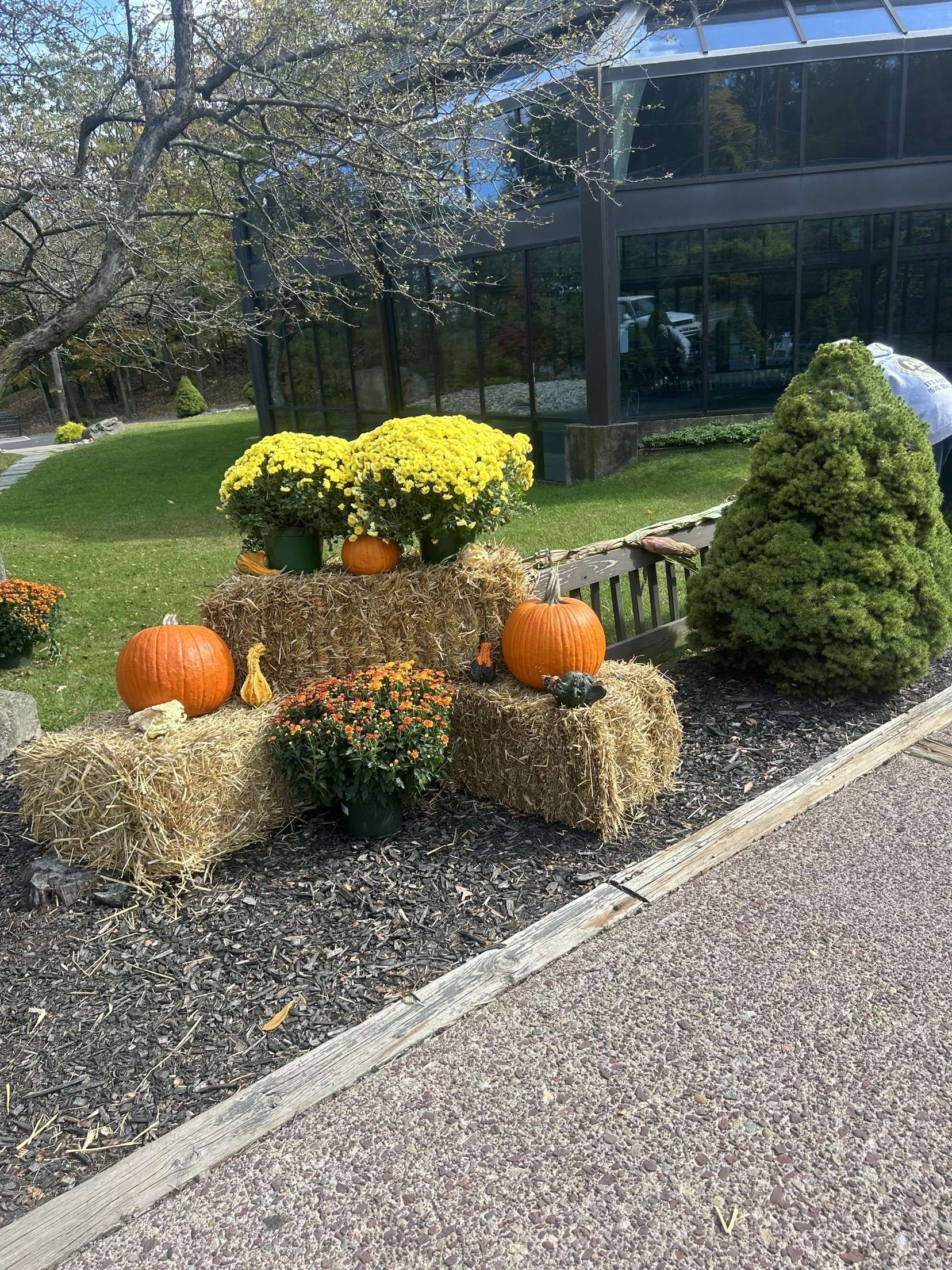 A man is kneeling down in a garden with a bucket in the background