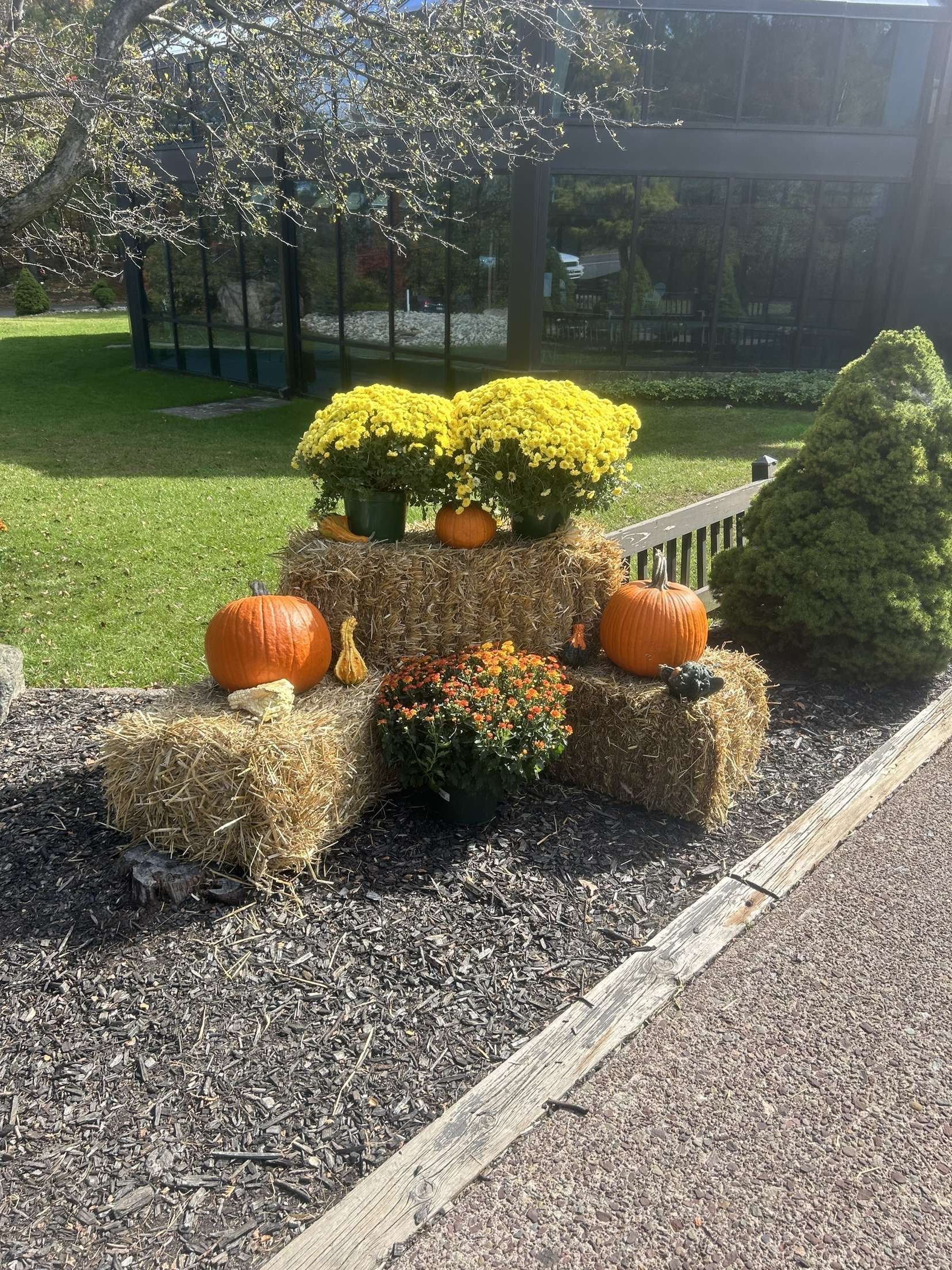 Hay bales, pumpkins, and mums decorate an outdoor area.
