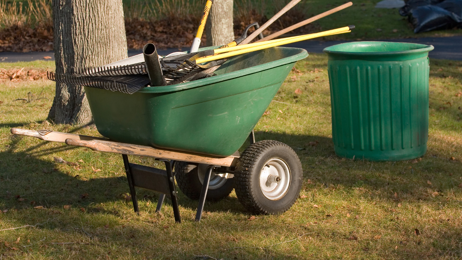 A green wheelbarrow filled with leaves and a green trash can.