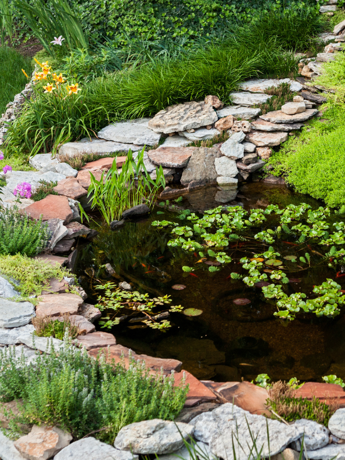 There is a pond in the middle of the garden surrounded by rocks and plants.