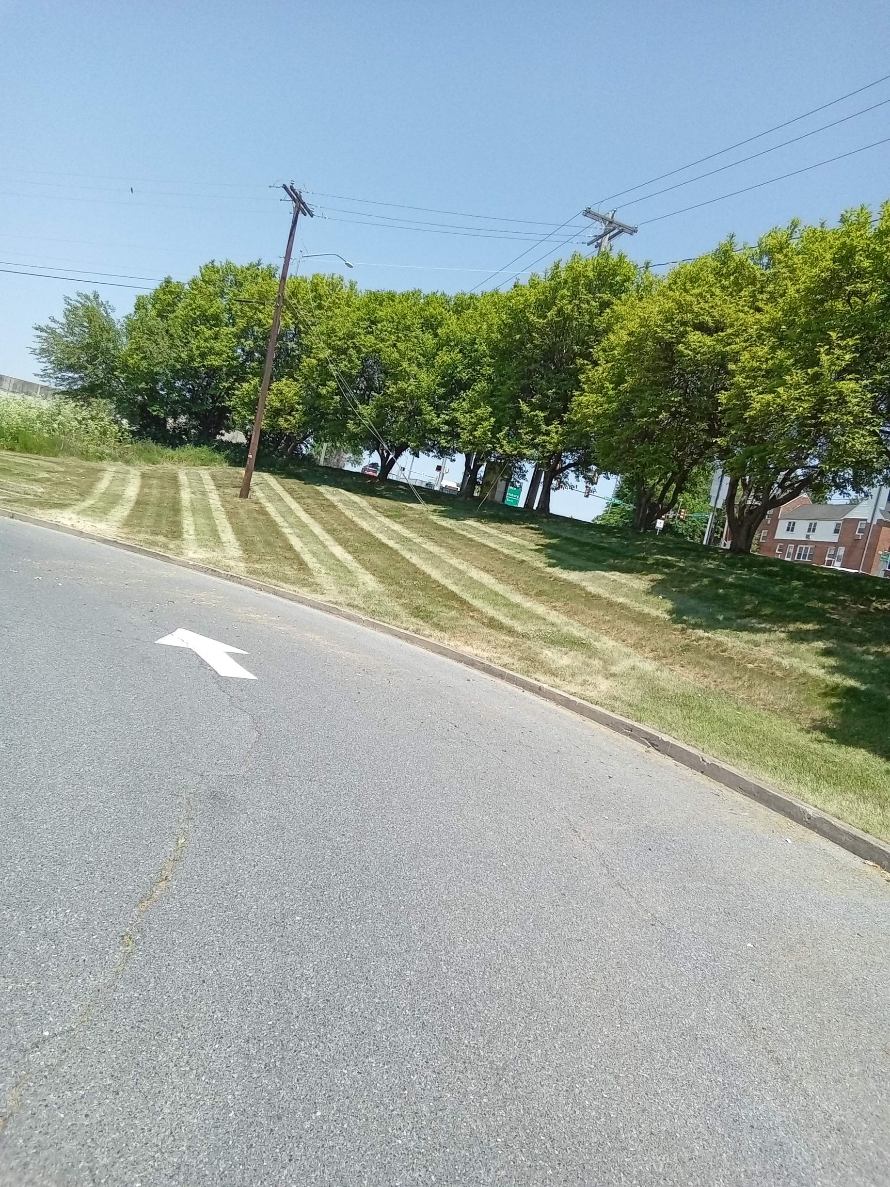 a road with trees on the side of it and a white arrow pointing to the right .