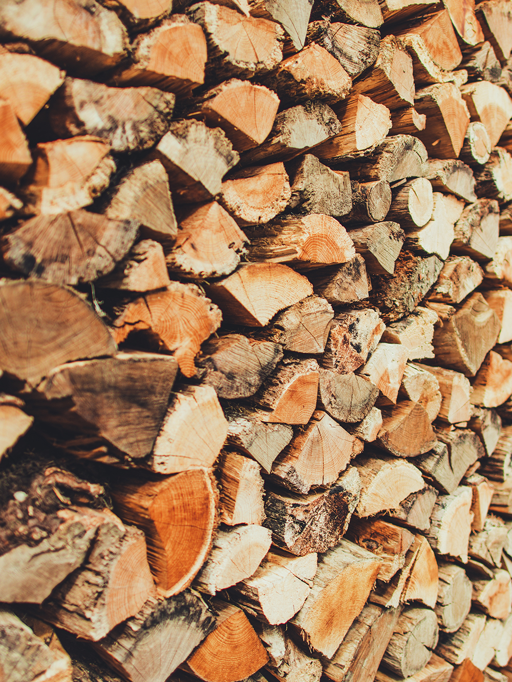 A pile of wood is being loaded into a dump truck.