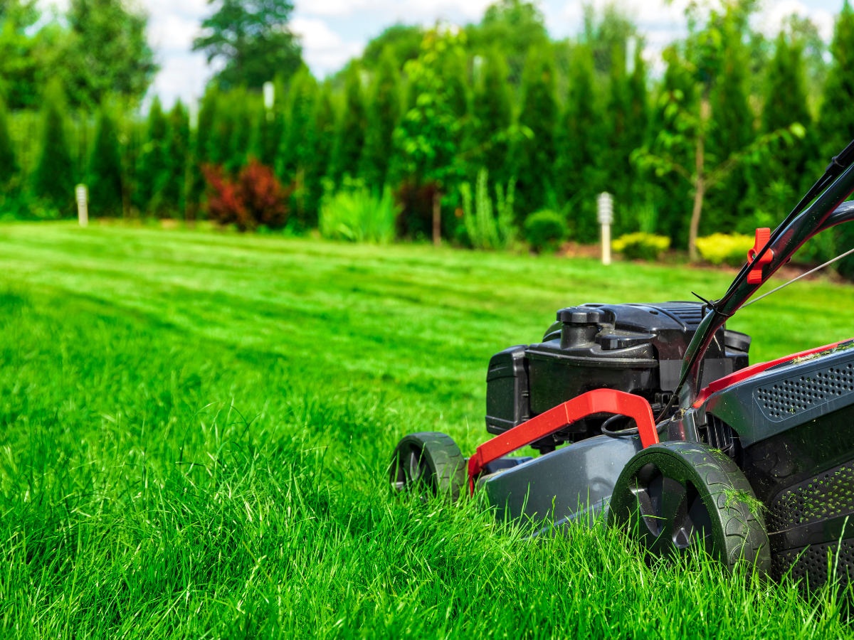 A lawn mower is cutting a lush green lawn.