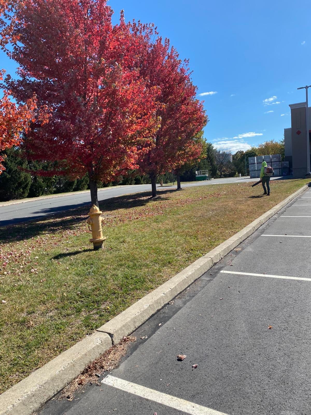 a garden with rocks and mulch in front of a commercial business by A.A.F Landscaping