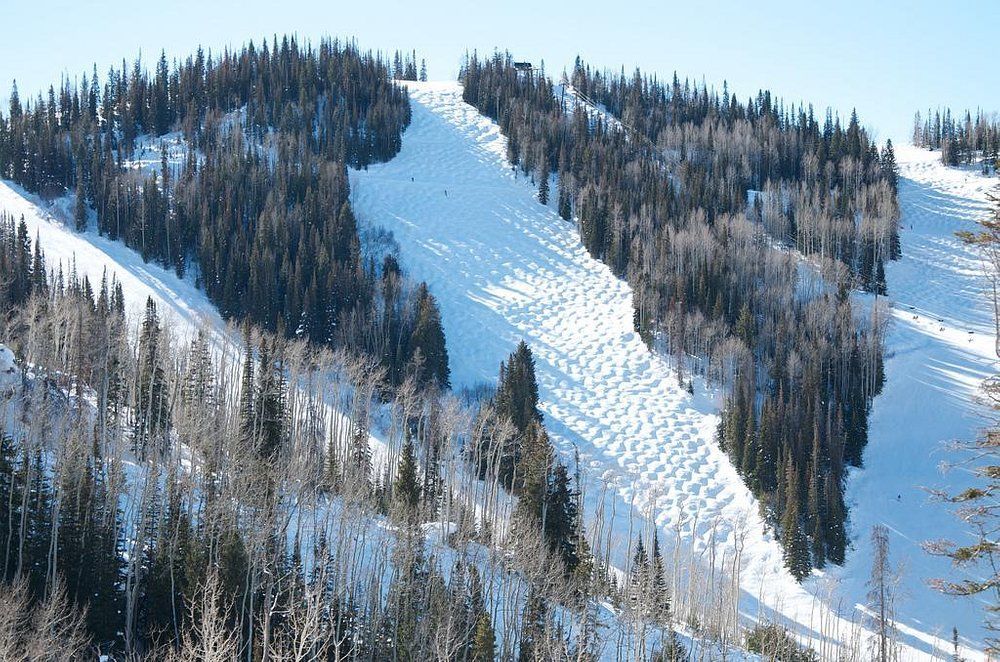 A snowy mountain with trees on the side of it