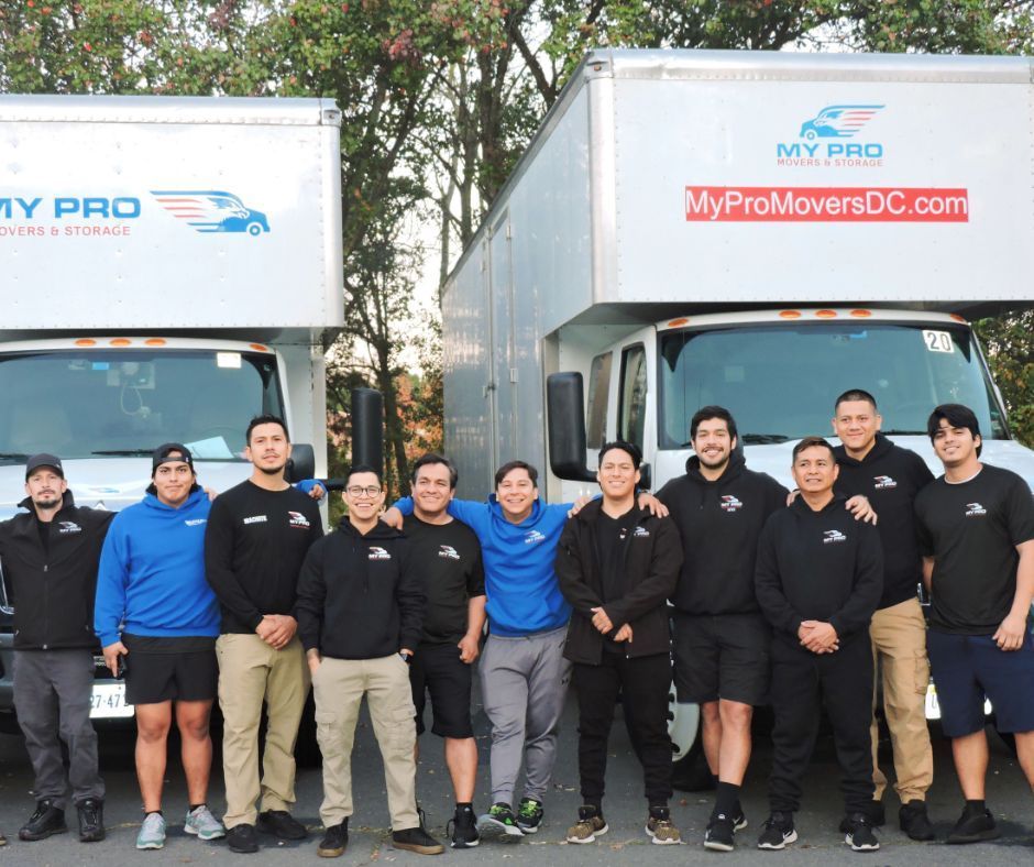 Professional Movers: Making the Right Choice