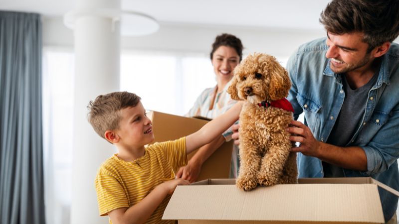 196u1BAtT0oE JGaSZS5ZN2nsT5doOPa 1XDATOUFoGmyVtm 6hpxtodRBPN4nkzO4z9pvndlp14afP7WgDraU4pGc4eIjsuM4Iqwq1tbfR7qAaG4stF3a42UD...