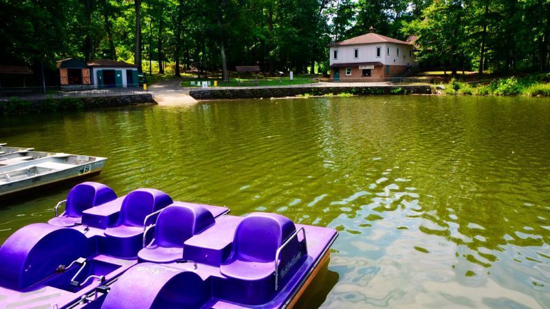 AD 4nXffVMo B8kmwDWBJEl4a8n0jYc3SUALtcq3bN ZQ0JEO14iSwkB4tUXsA7q KTWGjETJ9r7TouaTceIHjo1bxQpt9JGkGz2LdZ06OInHhmSUS6fRogeyi...