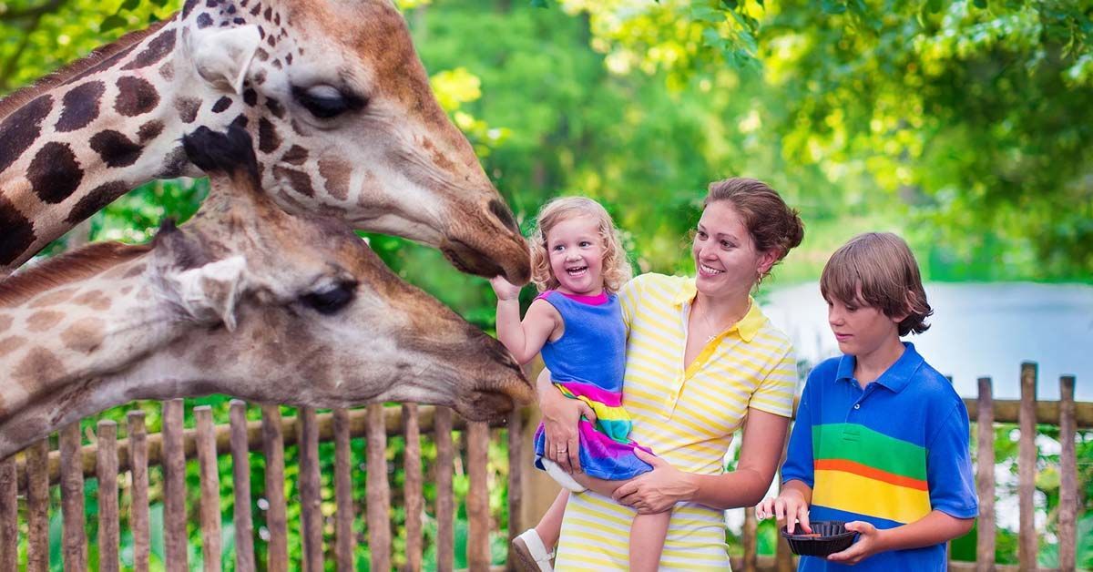 607e153055a23dcb811a19e8 National Zoo Washington Dc