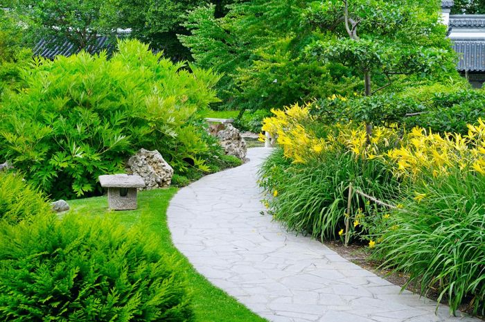 walk way garden with plants