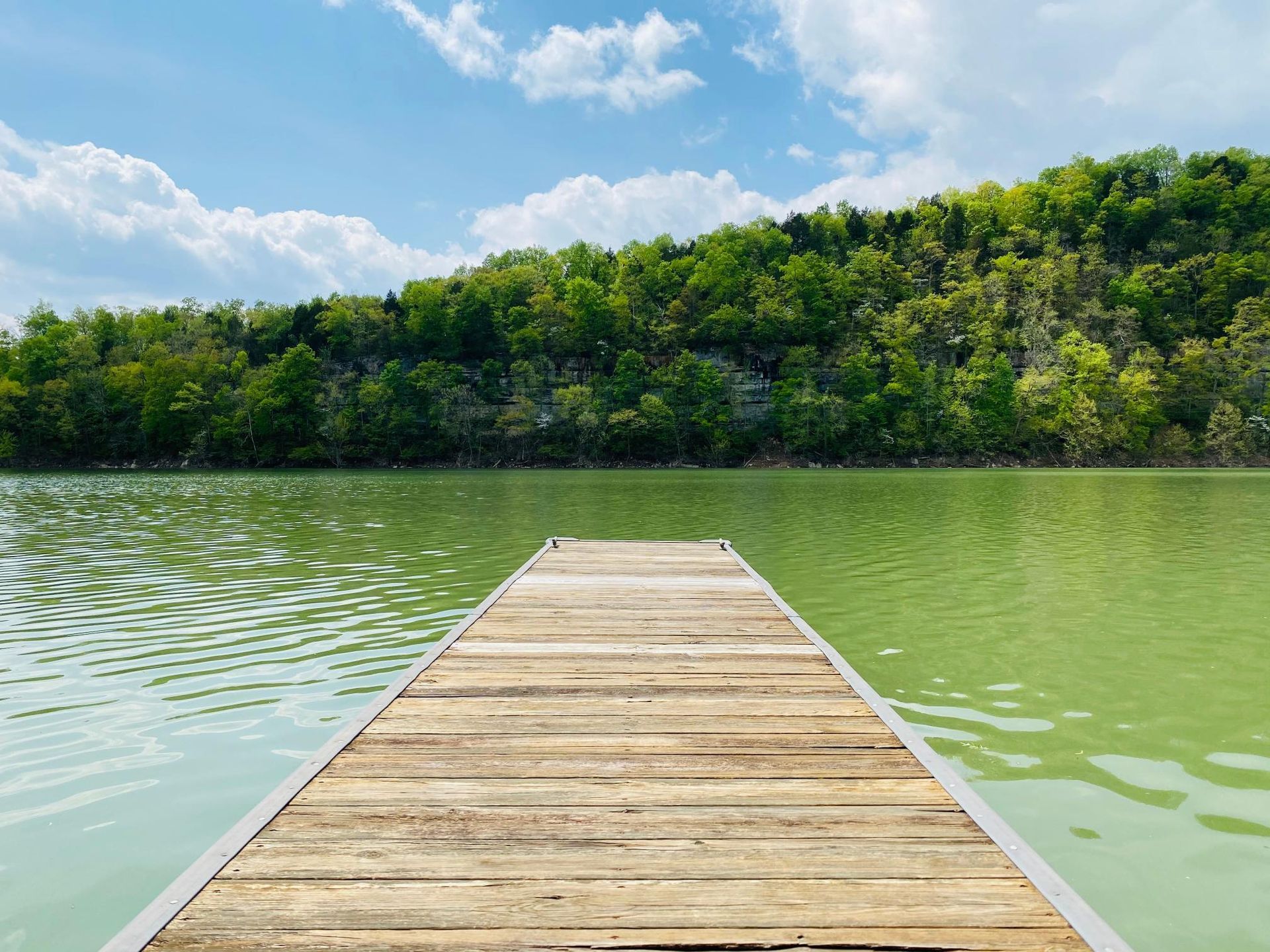 Wooden dock extending into green water, surrounded by trees under a blue sky with clouds.