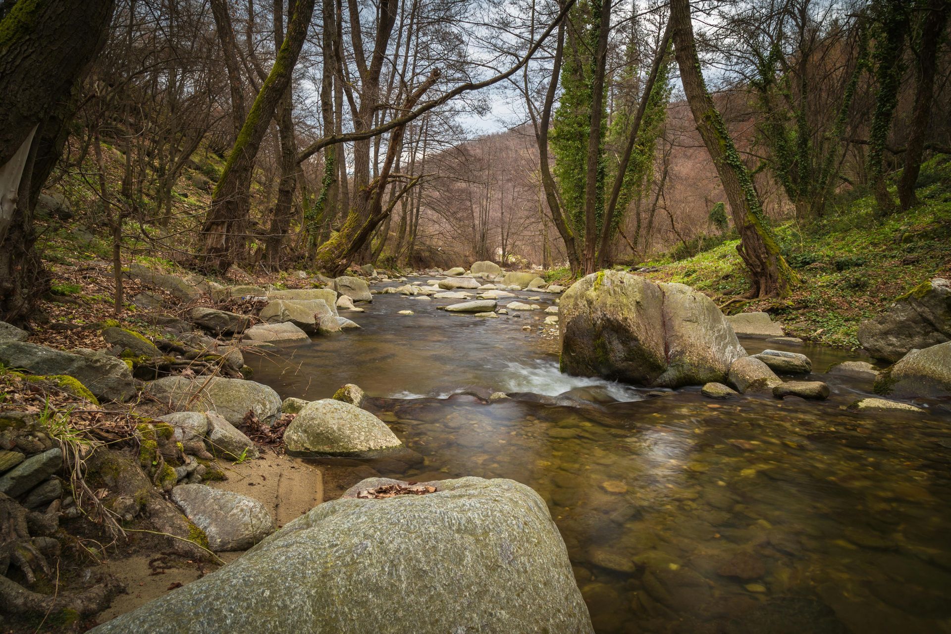 Stream flowing through a rocky woodland, trees line the banks under a cloudy sky.