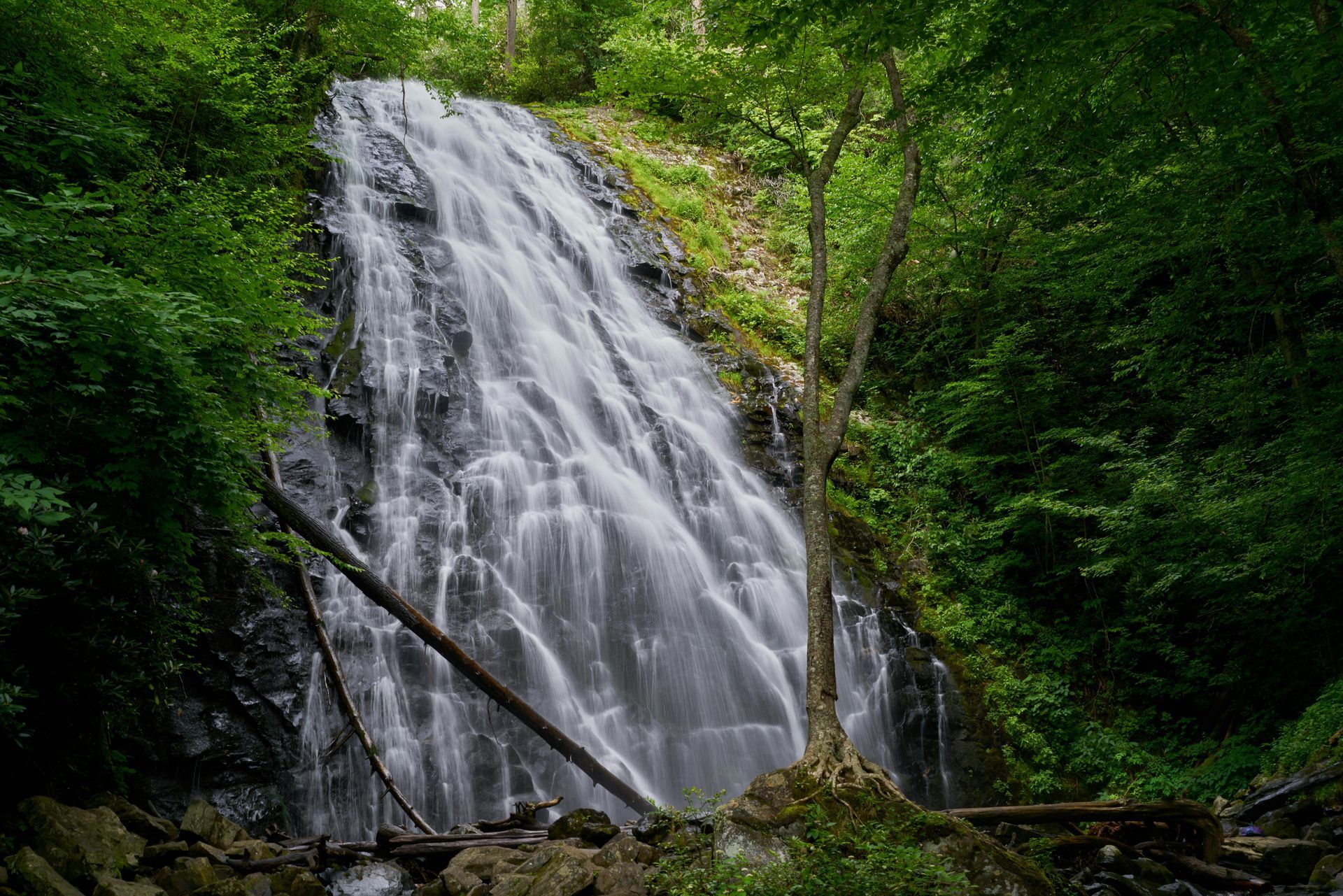 Waterfall cascading over rocks, surrounded by lush green trees.