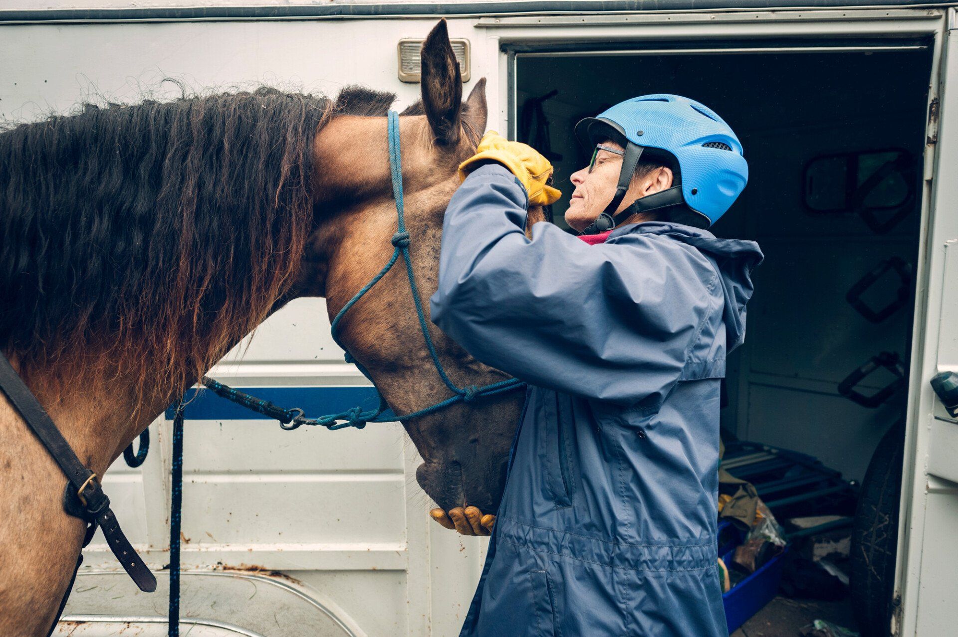 horse with equine vet