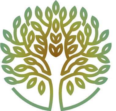 A tree with lots of leaves and branches on a white background.