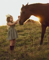 A little girl petting a brown horse in a field