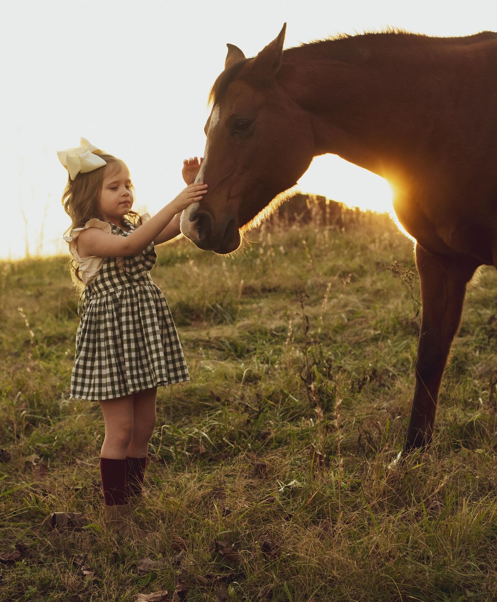 A little girl petting a brown horse in a field
