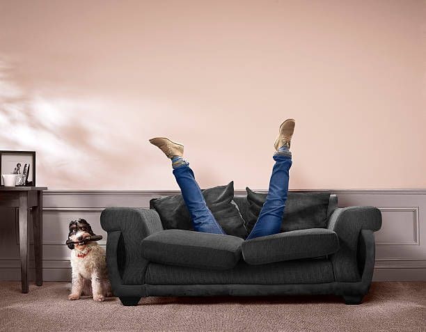 Person’s legs sticking up from a dark sofa beside a small dog in a living room, pink wall behind.