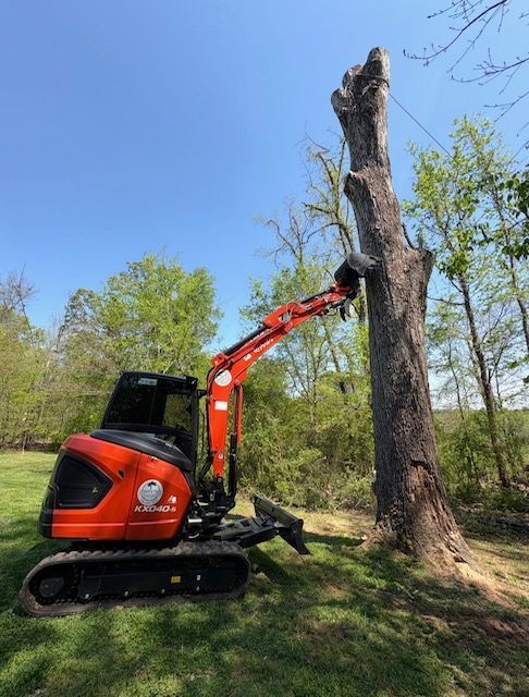 Orange excavator cutting down a dead tree in a grassy, wooded area.