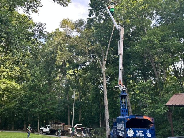 Blue bucket truck with raised crane working beside a forest road under tall trees