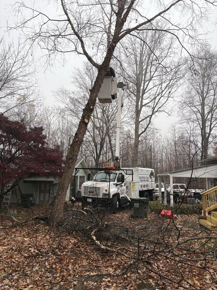 A tree service truck with a raised bucket trims a tree in a residential yard.