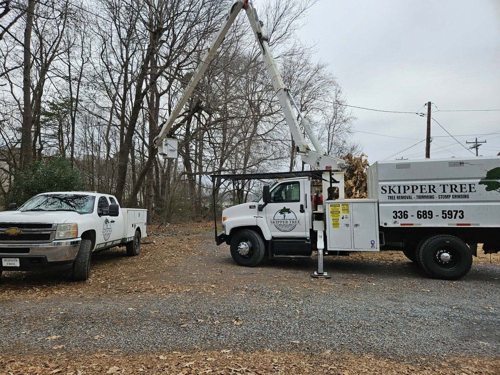 White tree service truck with extended lift arm near another white pickup truck in a wooded area.