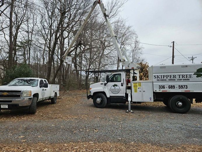 Two tree service trucks next to a tree with a raised boom. Grey sky and trees in the background.