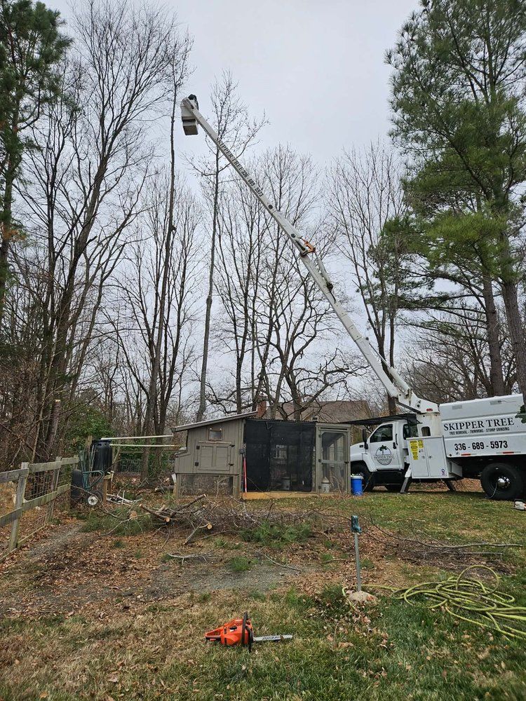 Tree service truck with lift trimming bare trees near a structure in a yard.