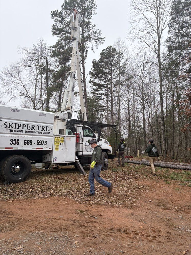 Tree service truck with raised arm near tall trees; workers on the ground.