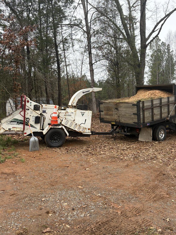 Wood chipper and truck, chipping wood into a trailer in a wooded area.