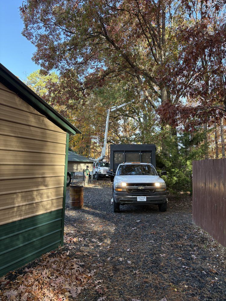 Truck parked near building, boom lift in use trimming a tree with fall foliage.