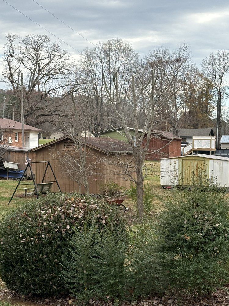 A backyard with a swing set, bushes, a brick building, and bare trees under a cloudy sky.
