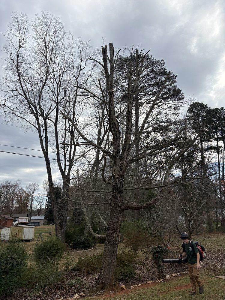 Man with leaf blower near bare tree; overcast sky.